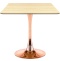 Stół skandynawski kwadratowy TORI SLIM Light Wood 70 COPPER